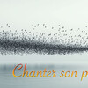 Chanter son paysage